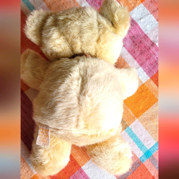 Adorable Golden Bear Co. Ltd. Teddy Bear - Picture 2 of 3